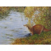Otter at Chalford Preview