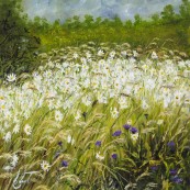 Daisies in the wind Thumbnail