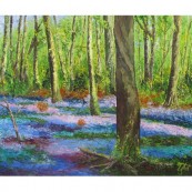 Bluebell Wood South Downs Preview