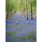 Bluebell Wood Gotherington Preview